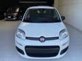 Fiat Panda Panda 1.0 FireFly S&S Hybrid Icon Blanc - thumbnail 2