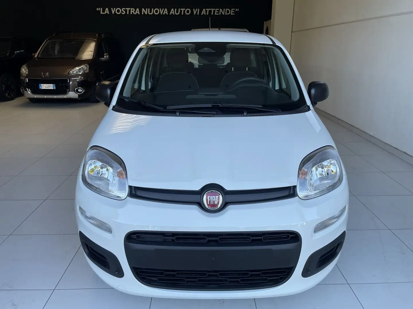 Fiat Panda Panda 1.0 FireFly S&S Hybrid Icon Bianco - 2