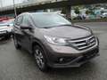 Honda CR-V Lifestyle 4WD Grau - thumbnail 3