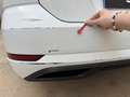 Volkswagen Golf Variant 1.6TDI Business and Navi Ed. Blanco - thumbnail 37