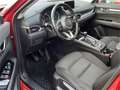 Mazda CX-5 Diesel Rot - thumbnail 10