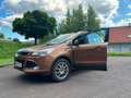 Ford Kuga Kuga 2,0 TDCi Titanium 4x4 Titanium Braun - thumbnail 1