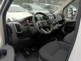 Fiat Ducato 33 2.2 Mjt 140CV L2 H1 PM-TN Furgone Bianco - thumbnail 7