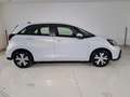 Honda Jazz 1,5 i-MMD Hybrid Elegance Aut. Weiß - thumbnail 12