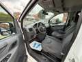 Citroen Jumpy HDi 165 FAP L2 Multispace Attraction (8 Sitze) Blanc - thumbnail 10