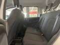 Fiat Panda 1.0 firefly hybrid s&s 70cv 5pti Bianco - thumbnail 12