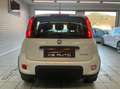 Fiat Panda 1.0 firefly hybrid s&s 70cv 5pti Bianco - thumbnail 7
