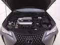 Lexus UX 250h Hybrid Business 2.0 Full Hybrid 184CV Grigio - thumbnail 13