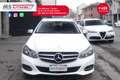 Mercedes-Benz E 250 Mercedes-Benz Classe E E 250 BlueTEC S.W. 4Matic Automatic Sport PROMOZIONE  Unicoproprietario Blanco - thumbnail 10