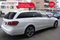 Mercedes-Benz E 250 Mercedes-Benz Classe E E 250 BlueTEC S.W. 4Matic Automatic Sport PROMOZIONE  Unicoproprietario Blanco - thumbnail 14