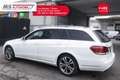 Mercedes-Benz E 250 Mercedes-Benz Classe E E 250 BlueTEC S.W. 4Matic Automatic Sport PROMOZIONE  Unicoproprietario Blanco - thumbnail 16