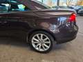 Volkswagen Eos 2.0 TDI DSG Le-Mans-Sport/PANORAMA/NAVI/PDC Rot - thumbnail 23