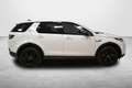 Land Rover Discovery Sport Discovery Sport 2.0D I4-L.Flw 150 CV AWD Auto S Bianco - thumbnail 7