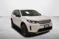 Land Rover Discovery Sport Discovery Sport 2.0D I4-L.Flw 150 CV AWD Auto S Bianco - thumbnail 3