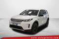 Land Rover Discovery Sport Discovery Sport 2.0D I4-L.Flw 150 CV AWD Auto S Bianco - thumbnail 1