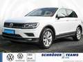 Volkswagen Tiguan 1.5 TSI DSG Highline Wit - thumbnail 1