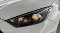 Toyota Yaris 116h Dynamic 5p MY22 - thumbnail 17