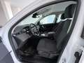 Land Rover Discovery Sport Discovery Sport 2.0d td4 mhev HSE awd 163cv auto Bianco - thumbnail 12