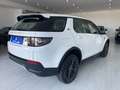 Land Rover Discovery Sport Discovery Sport 2.0d td4 mhev HSE awd 163cv auto Bianco - thumbnail 4