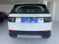 Land Rover Discovery Sport Discovery Sport 2.0d td4 mhev HSE awd 163cv auto Bianco - thumbnail 5
