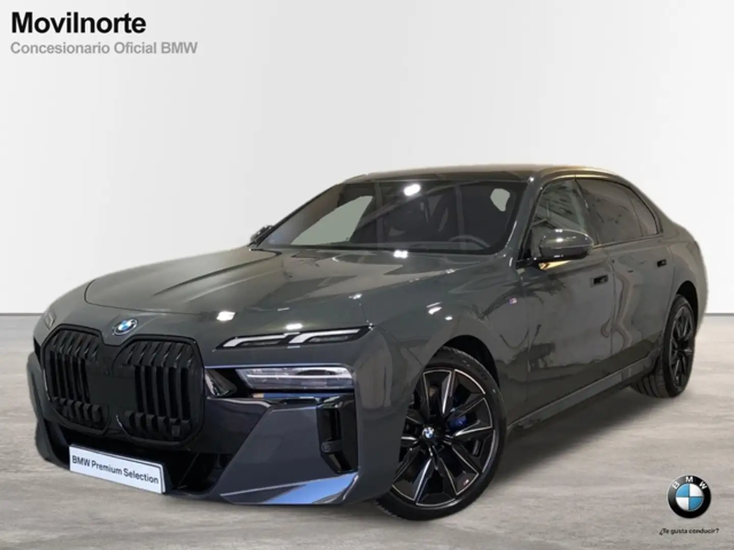 BMW i7 xDrive 60 siva - 1
