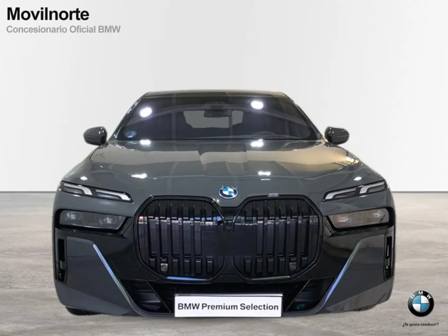 BMW i7 xDrive 60 siva - 2