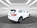 Volkswagen Touareg R-LINE V6 TDI TIPTRONIC (+EURO6+ALLRAD+LED bijela - thumbnail 3