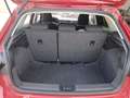 SEAT Ibiza 1.0 TSI S&S FR DSG7 115 Rot - thumbnail 14