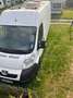Peugeot Camper Boxer Weiß - thumbnail 1