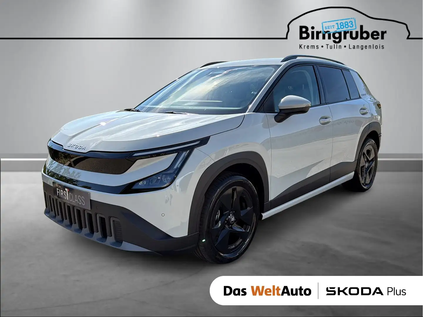 Skoda Epiq Selection 55 Grau - 1