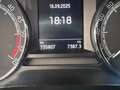 Skoda Octavia Wagon 1.6 TDI Executive 115CV DSG*EURO6*NAVI - thumbnail 15