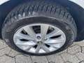 Skoda Octavia Wagon 1.6 TDI Executive 115CV DSG*EURO6*NAVI - thumbnail 14