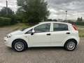 Fiat Punto 5p 1.2 benzina Street EURO 6 Blanco - thumbnail 2