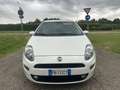 Fiat Punto 5p 1.2 benzina Street EURO 6 Blanco - thumbnail 1