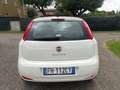 Fiat Punto 5p 1.2 benzina Street EURO 6 Blanco - thumbnail 3