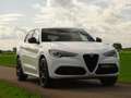 Alfa Romeo Stelvio 2.0 T AWD Veloce|BTW-auto |Trekhk|21"|Ad.Suspentio Wit - thumbnail 25