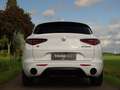 Alfa Romeo Stelvio 2.0 T AWD Veloce|BTW-auto |Trekhk|21"|Ad.Suspentio Wit - thumbnail 13