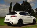 Alfa Romeo Stelvio 2.0 T AWD Veloce|BTW-auto |Trekhk|21"|Ad.Suspentio Wit - thumbnail 15