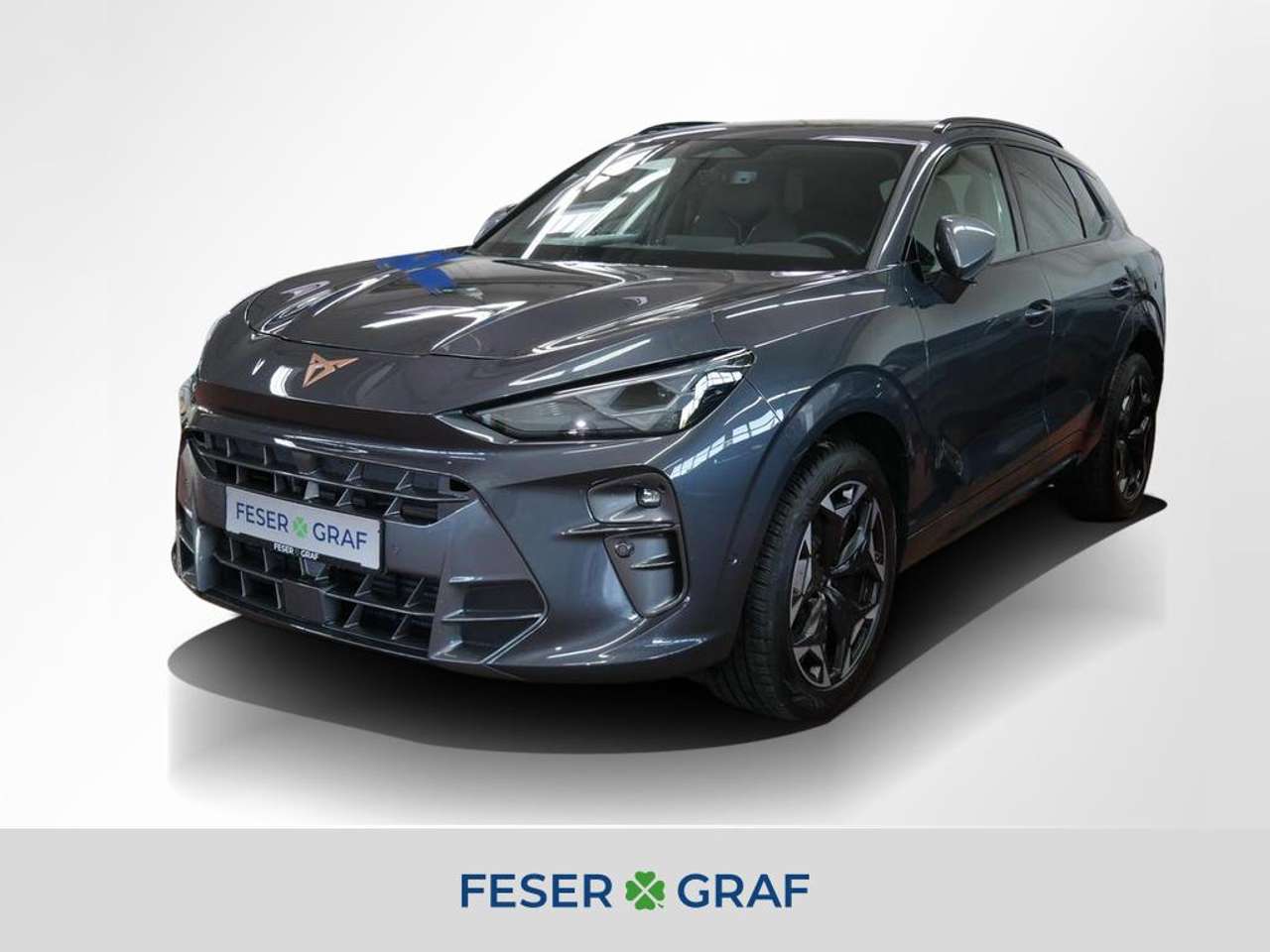Cupra Terramar 2025