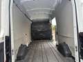 Ford Transit 350 2.0TDCi EcoBlue 170  PM-TM Furgone Trend Bianco - thumbnail 8