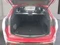 Alfa Romeo Stelvio Veloce 2.2 Jtdm 210PS Aut Awd Rot - thumbnail 12