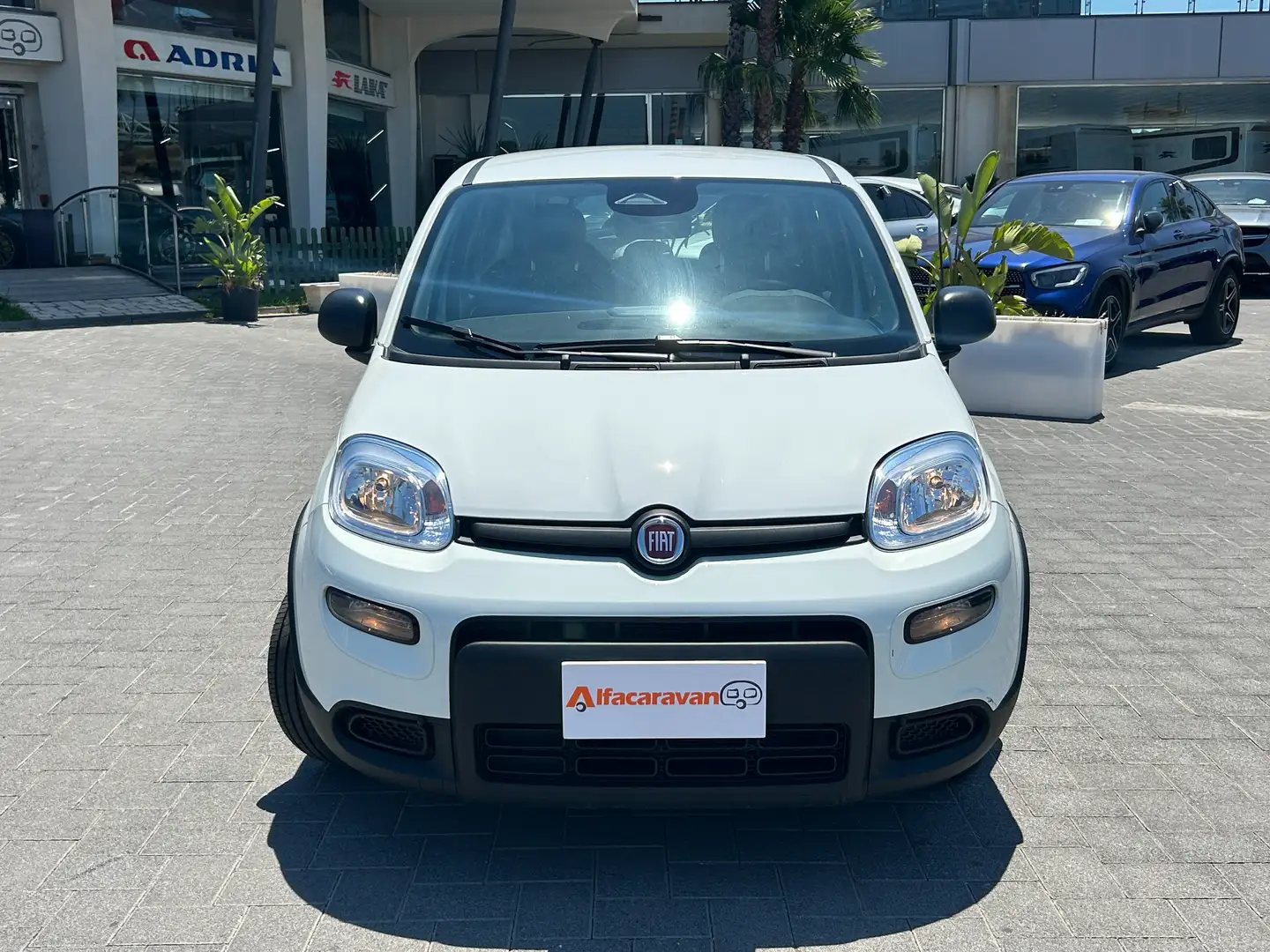 Fiat Panda Pandina III 2024 1.0 firefly hybrid - 2