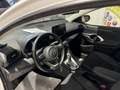 Toyota Yaris 1.5 Hybrid 5 porte Business White - thumbnail 4