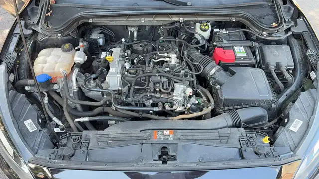 Ford Focus view 15