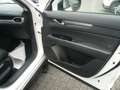 Mazda CX-5 CX-5 2.2 Executive 2wd 150cv my19 Bianco - thumbnail 14