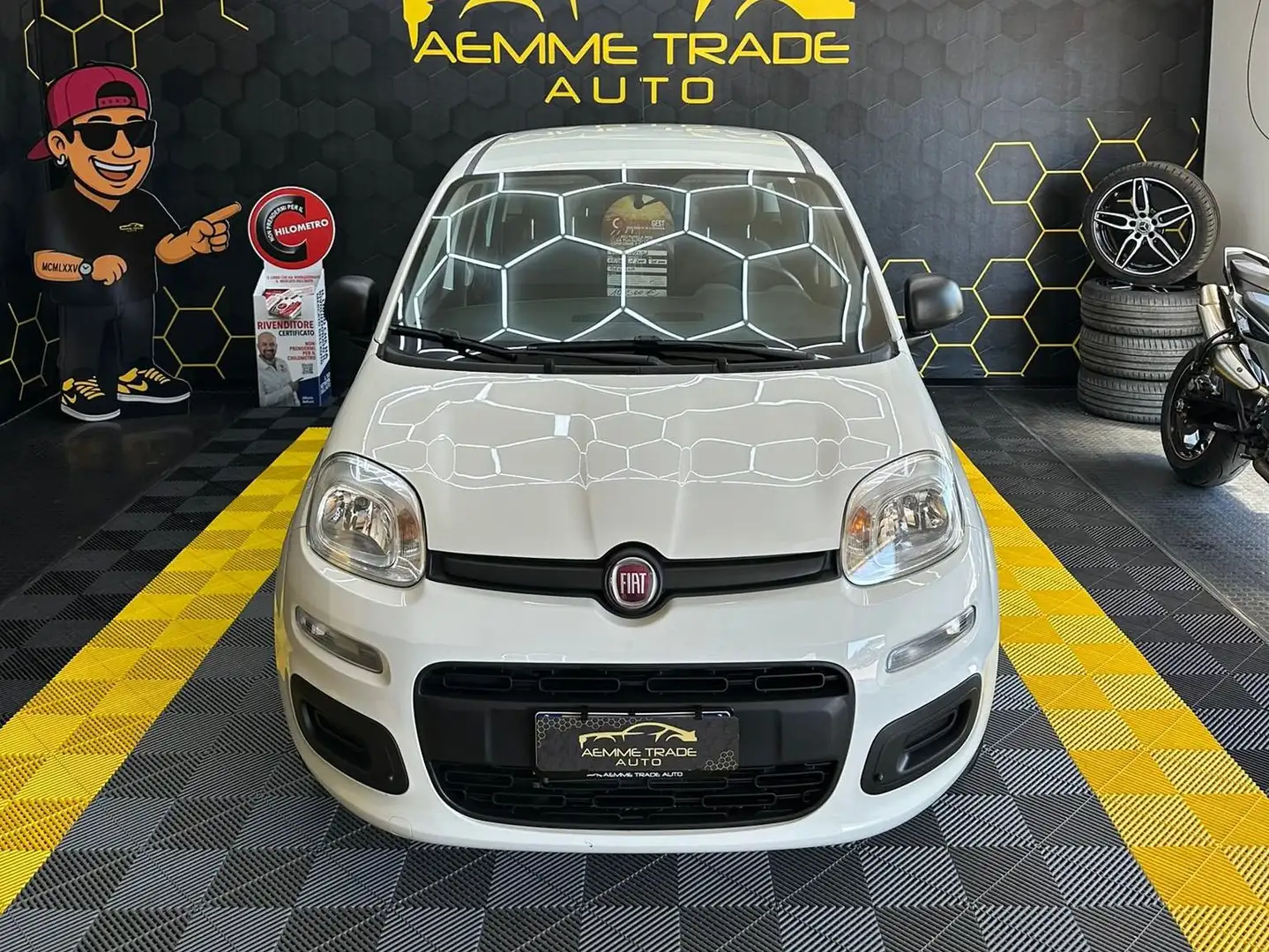 Fiat Panda Panda III 2016 1.2 Easy s Bianco - 2
