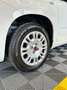 Fiat Panda Panda III 2016 1.2 Easy s Bianco - thumbnail 3