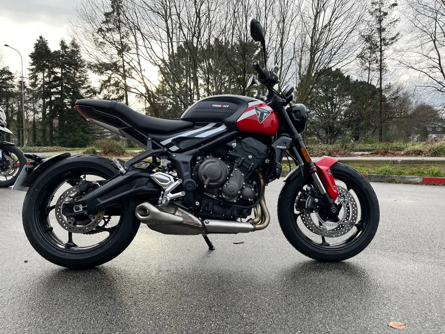 Triumph Trident 660 - 2