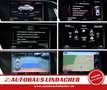 Audi A5 quattro S tronic DTM Rojo - thumbnail 12