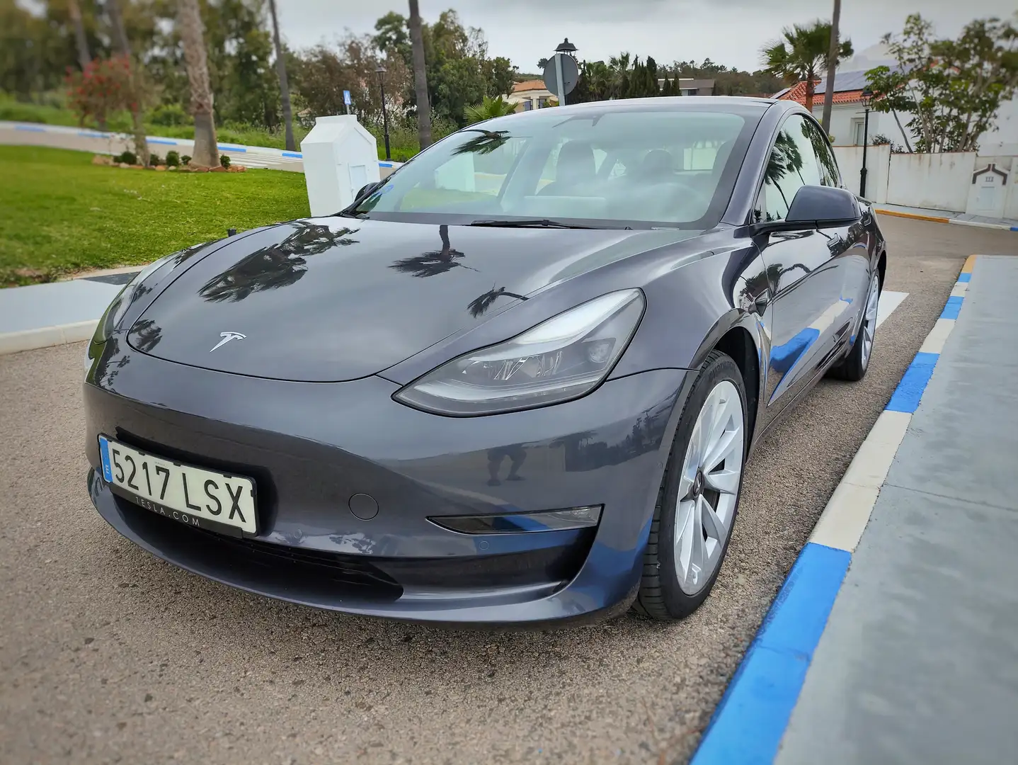 Tesla Model 3 Model 3 Long-Range RWD Gris - 2